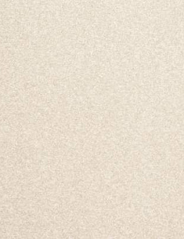 Carpet Feelings