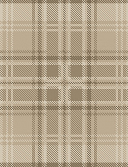 Carpet Inspirations Twist